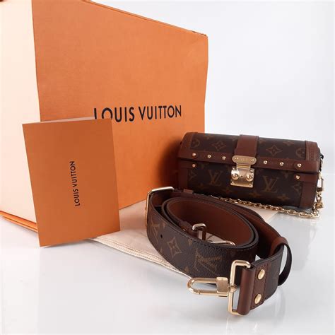 louis vuitton papillom|Altro.